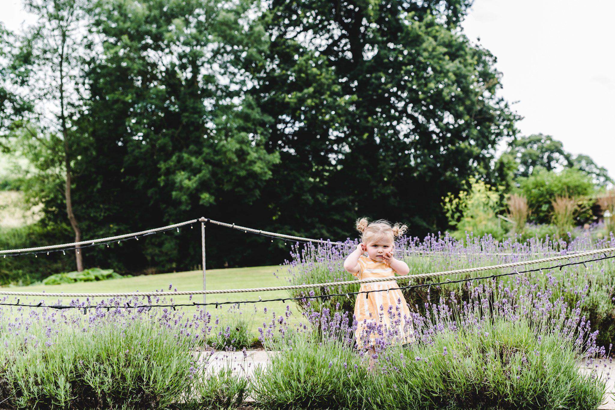 a small girl standing near some lavendar at a wedding