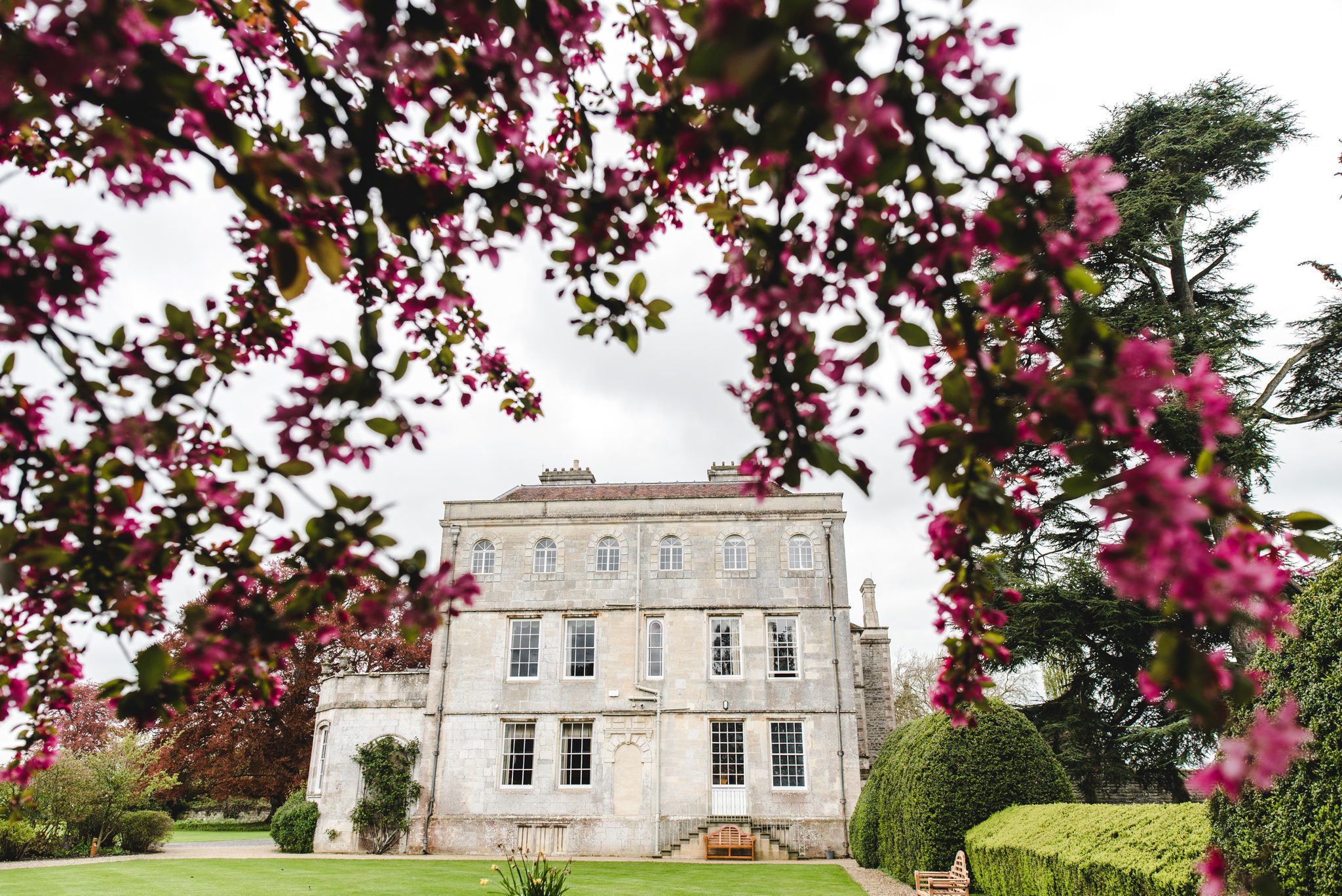 A view of elmore court through the blossom