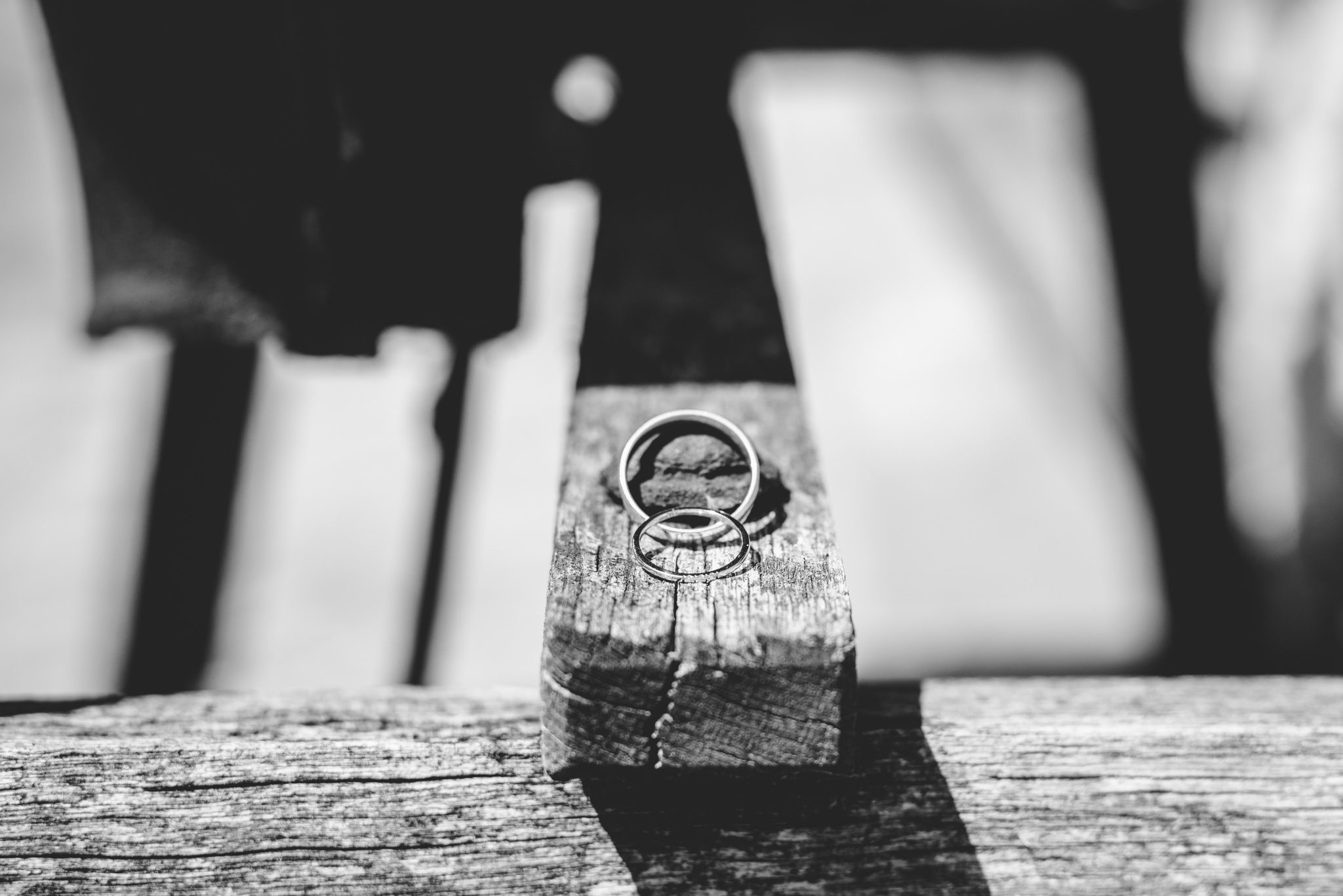 Wedding rings photographed on a piece of wood