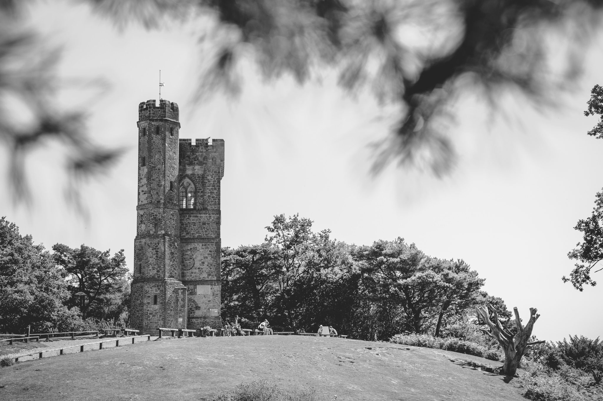 The tower on leith Hill