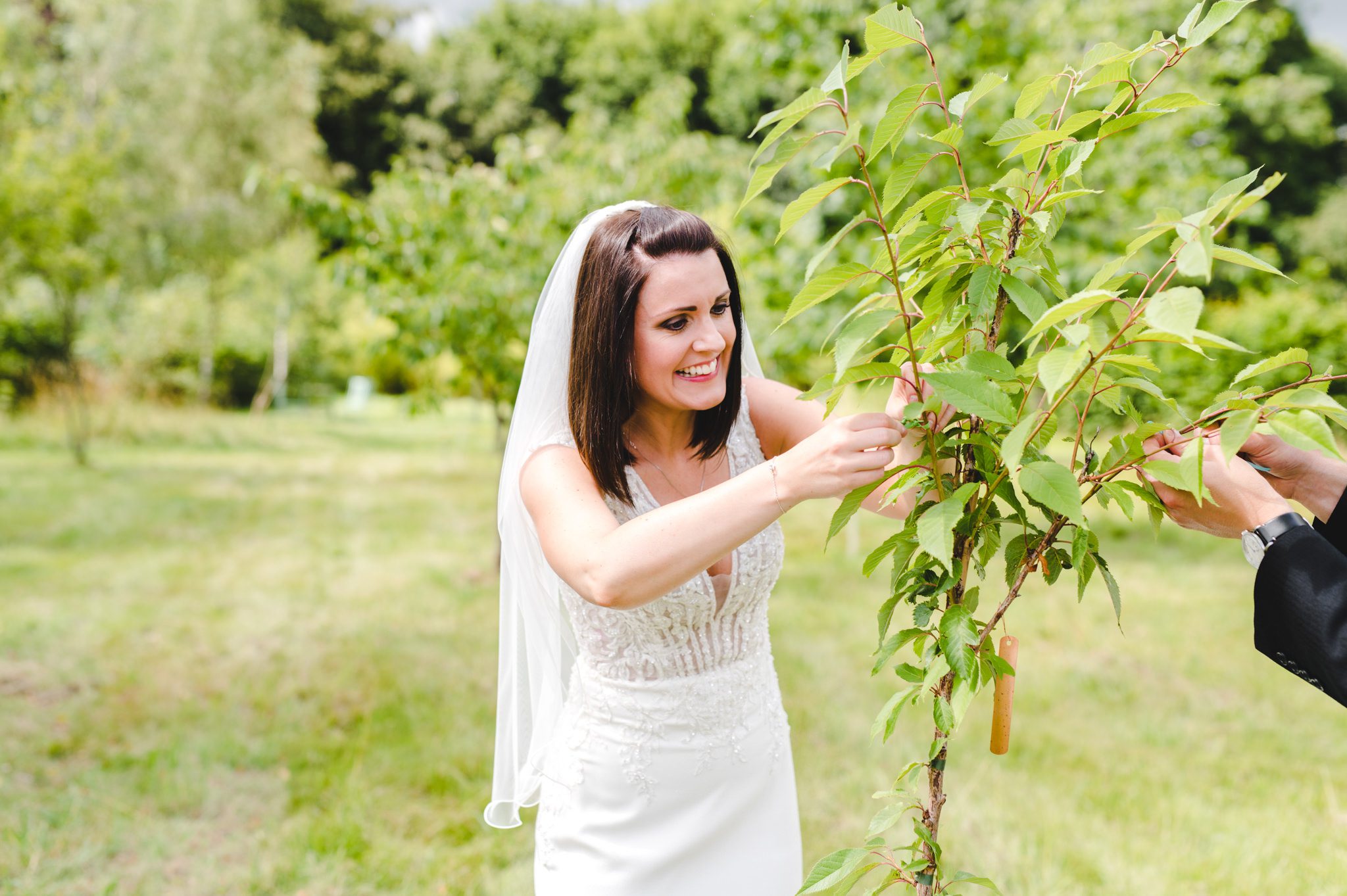 A bride dedicating a tree on her wedding day
