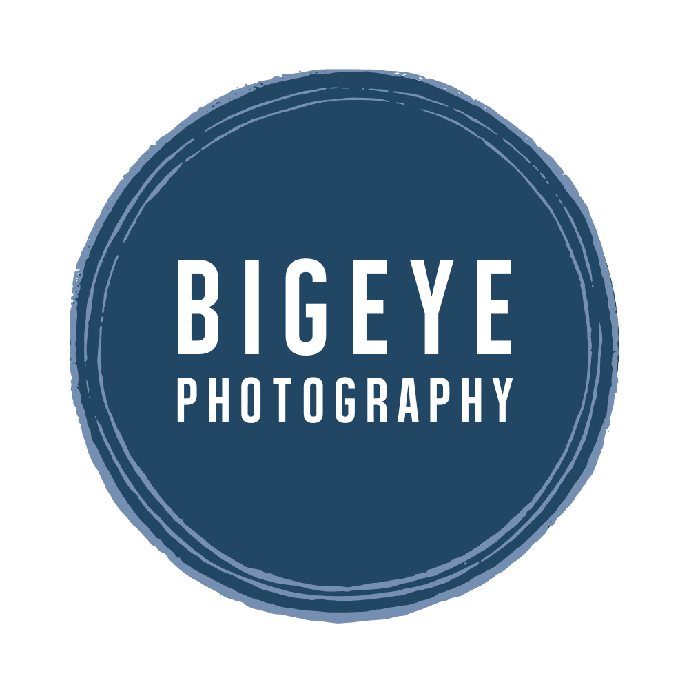 Wedding Photography Logo