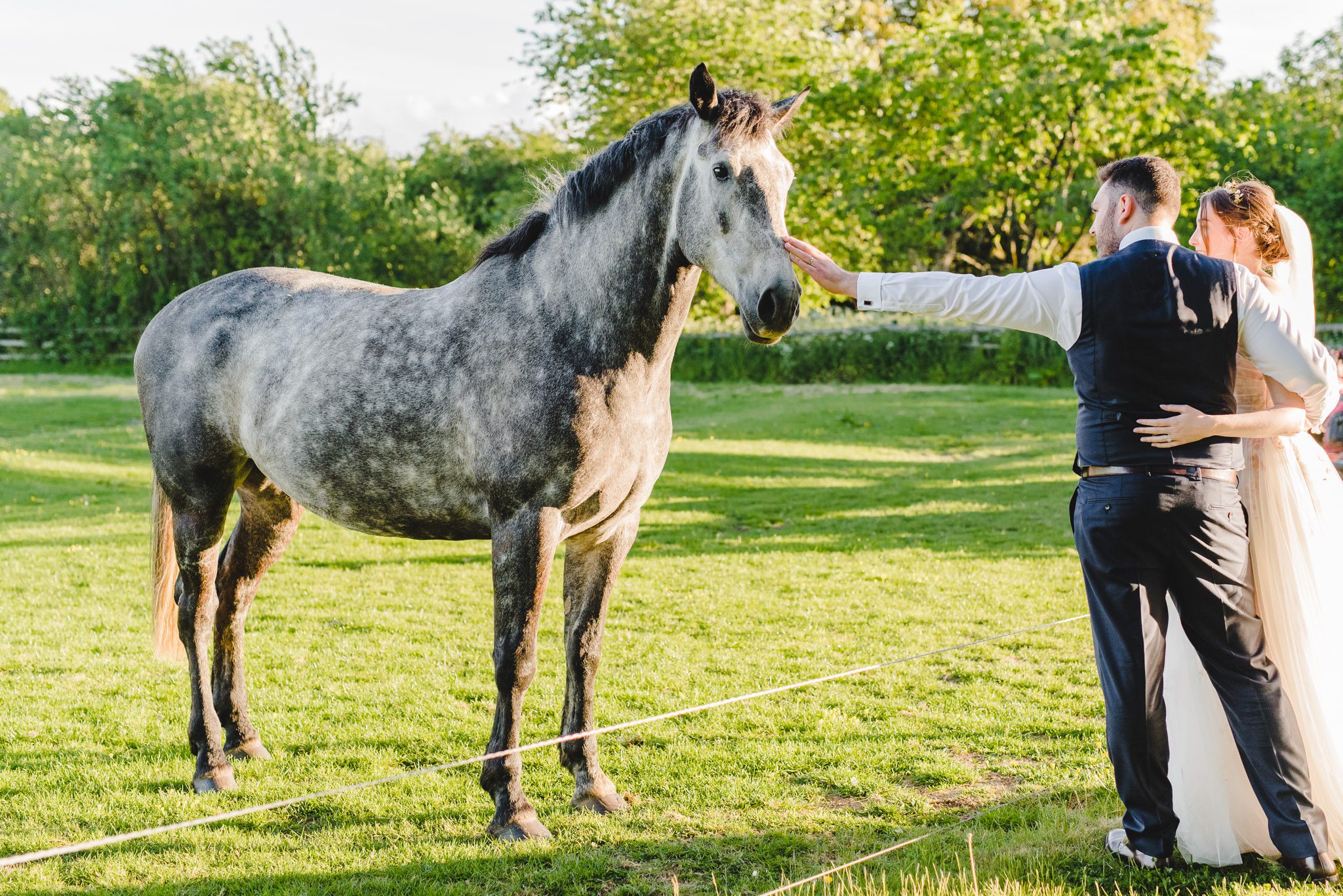 a bride and groom with a horse