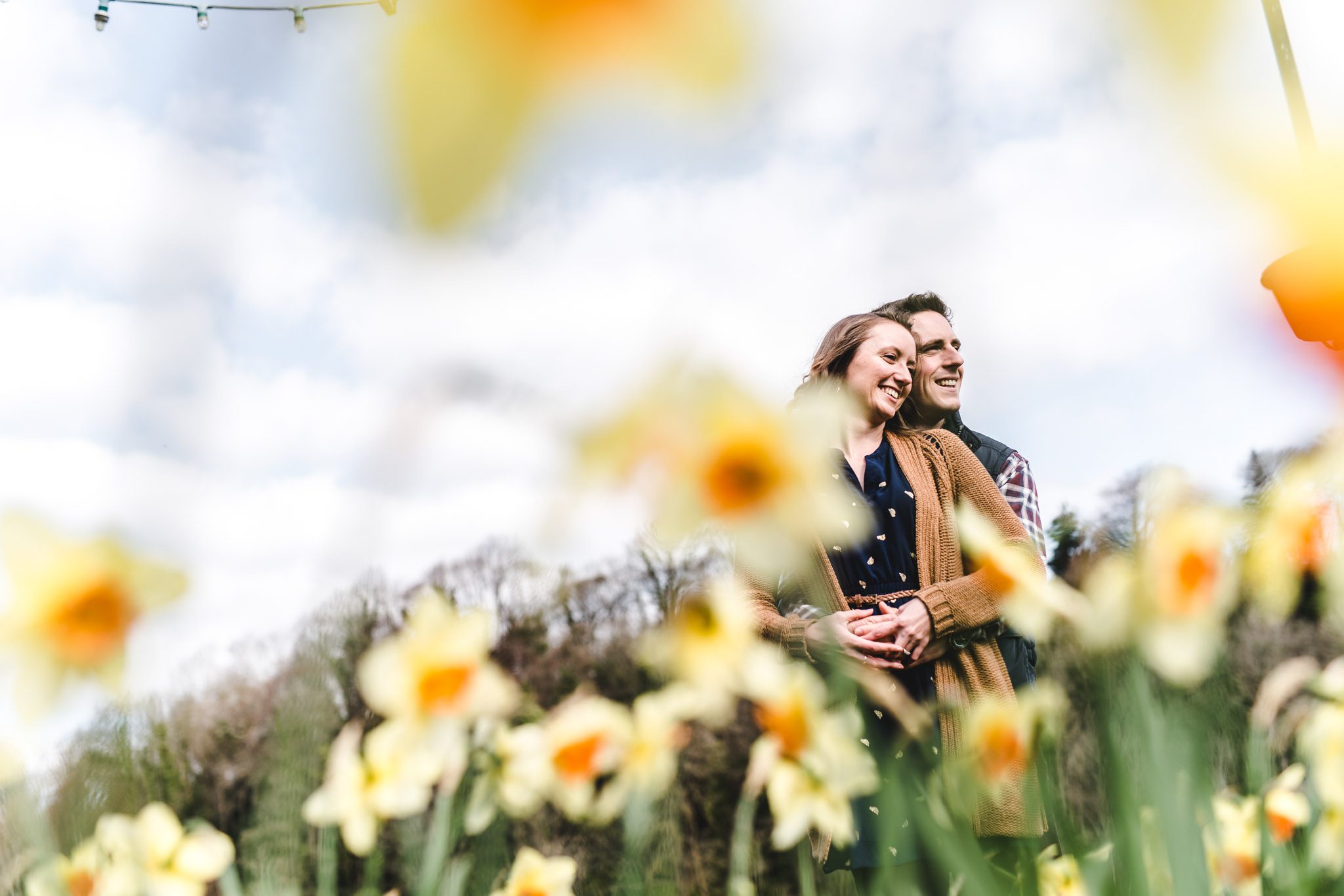 A couple hugging amongst daffodils