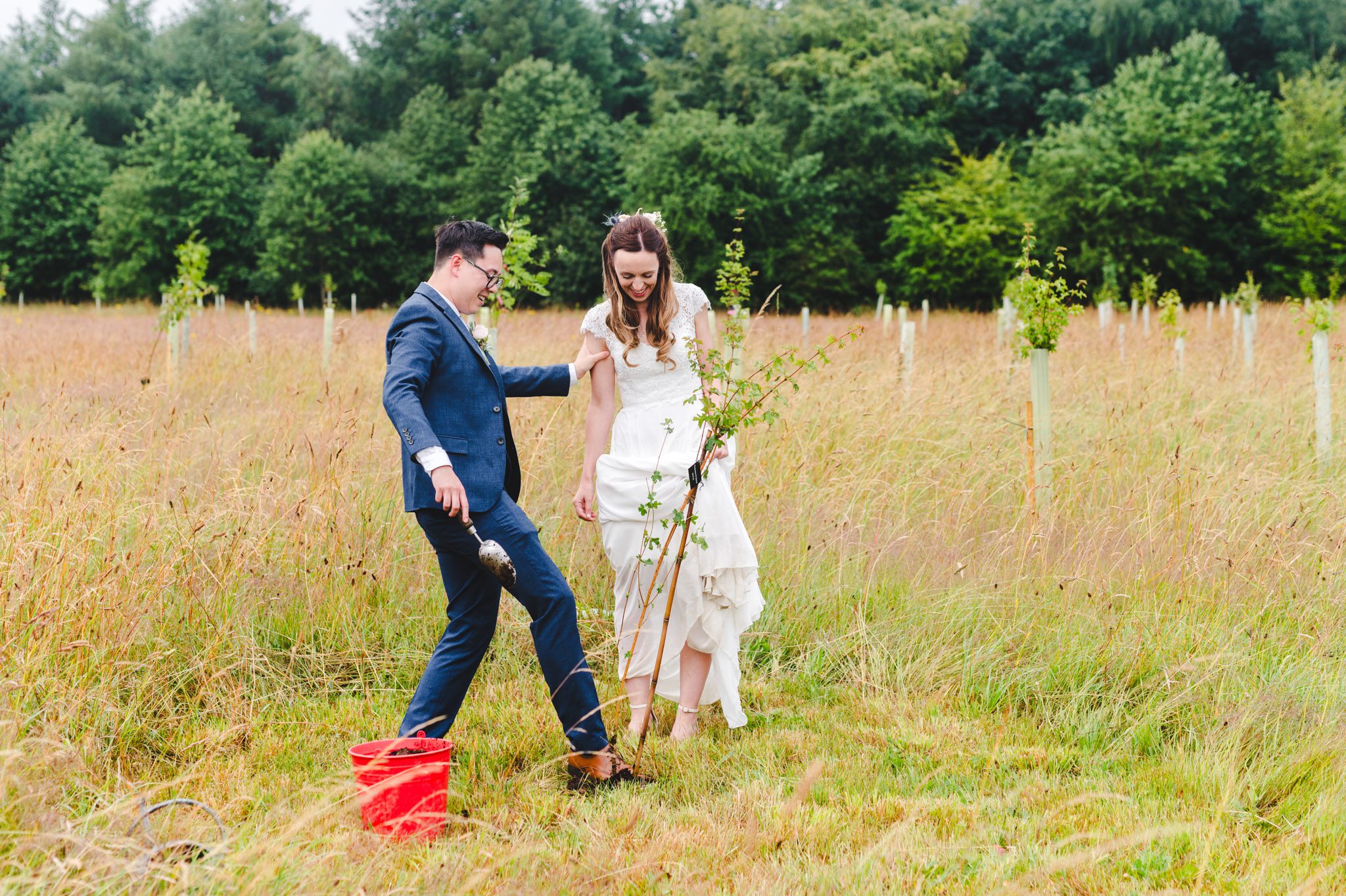 planning a wedding and planting a tree