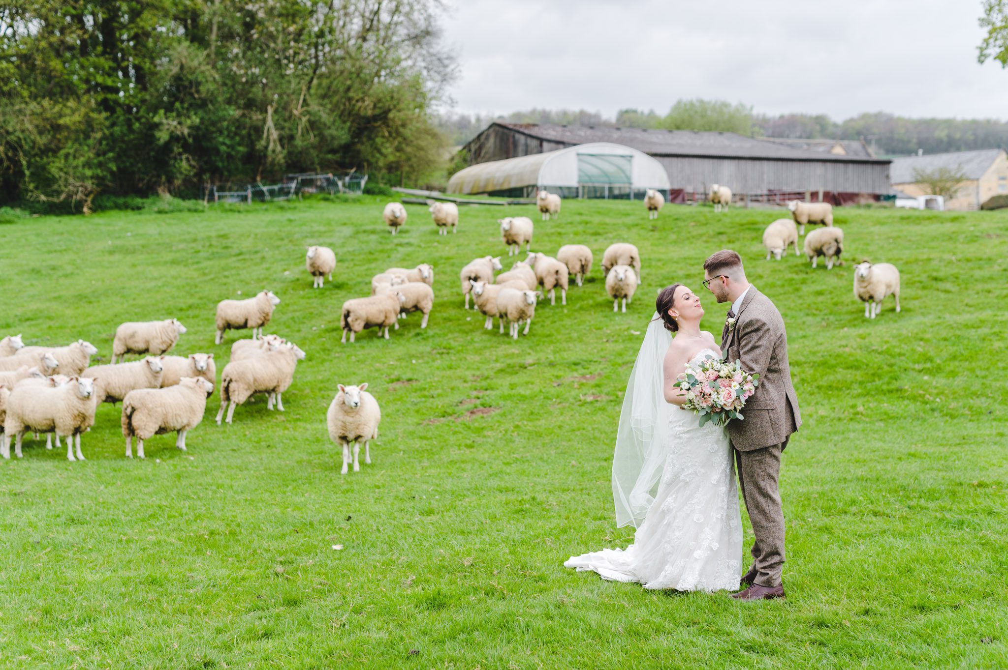 A bride and groom in a field of sheep
